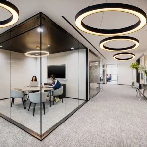 TY401 Commercial Hanging Lamps Lighting Led